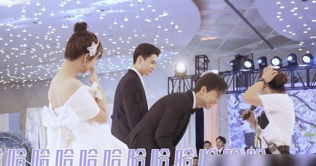 后悔吗?泰山队1500万重金砸来的锋线新援,如今一场没踢就离队了